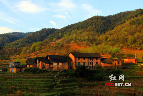 近日,几位摄影爱好者在湖南省衡阳市祁东县过水坪镇明远峰村发现了