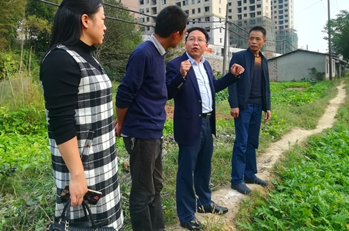 岳塘区朱毅强实地调研求子坝黑臭水体治理项目