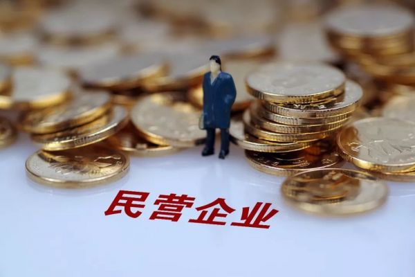 全国两会地方谈瞄准点位推动民营经济高质量发展