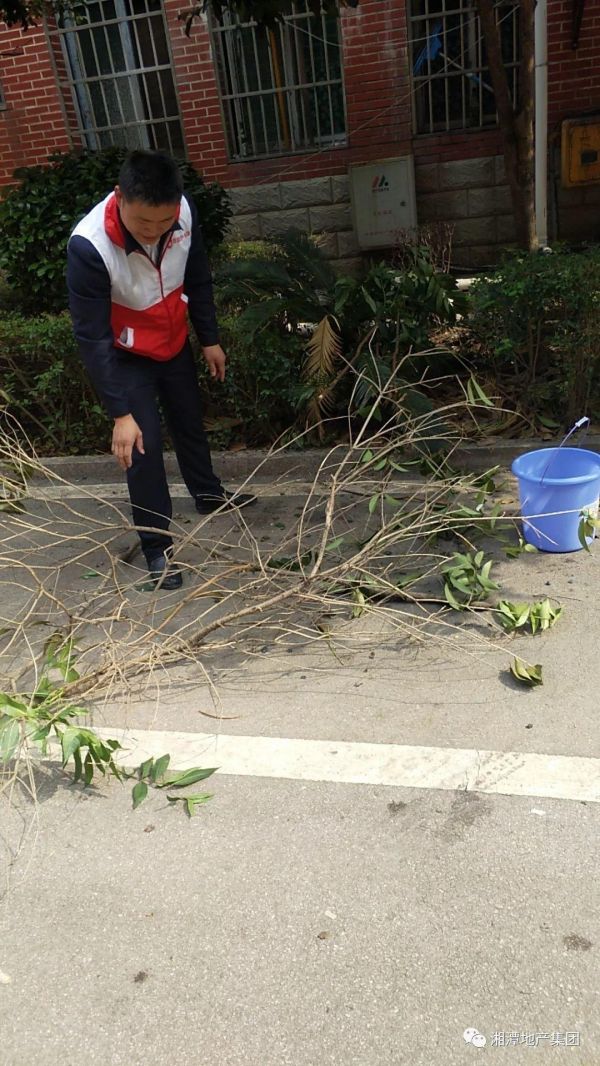 火红五月,青春飞扬。要问此时,在湘潭城市建设中哪个词最火??“创卫”当之无愧!!! 创建国家卫生城市,我知晓、我支持、我参与、我奉献……自创卫工作开展以来,全市上下积极响应号召,一股创卫热潮正在湘潭迅速掀起。湘潭地产集团作为城市建设的排头兵,正积极行动,全面打响创卫攻坚战。
