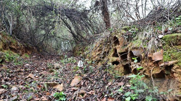 瓦砾山一条壕沟中散布着各种瓦砾、盆钵，两旁堆放的窑钵仍然清晰可辨。（本报记者 李新辉摄）